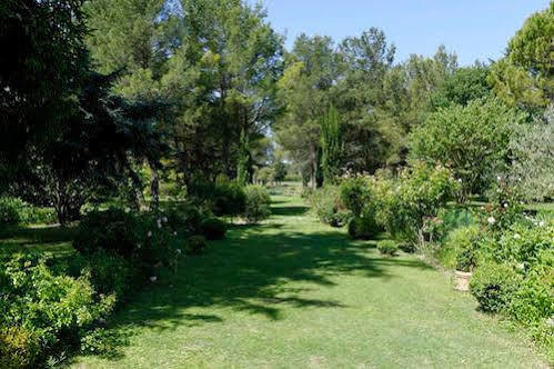 Le Domaine De Saint Veran Orgon Exteriör bild
